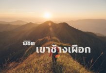 พิชิตยอดเขาช้างเผือก KhaoChangPuak