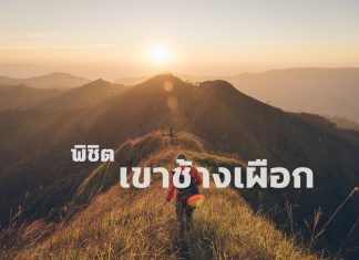 พิชิตยอดเขาช้างเผือก KhaoChangPuak