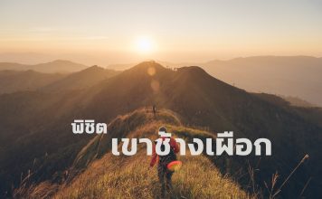 พิชิตยอดเขาช้างเผือก KhaoChangPuak