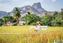 ดอกดาวกระจายที่ กระเพรา & coffee